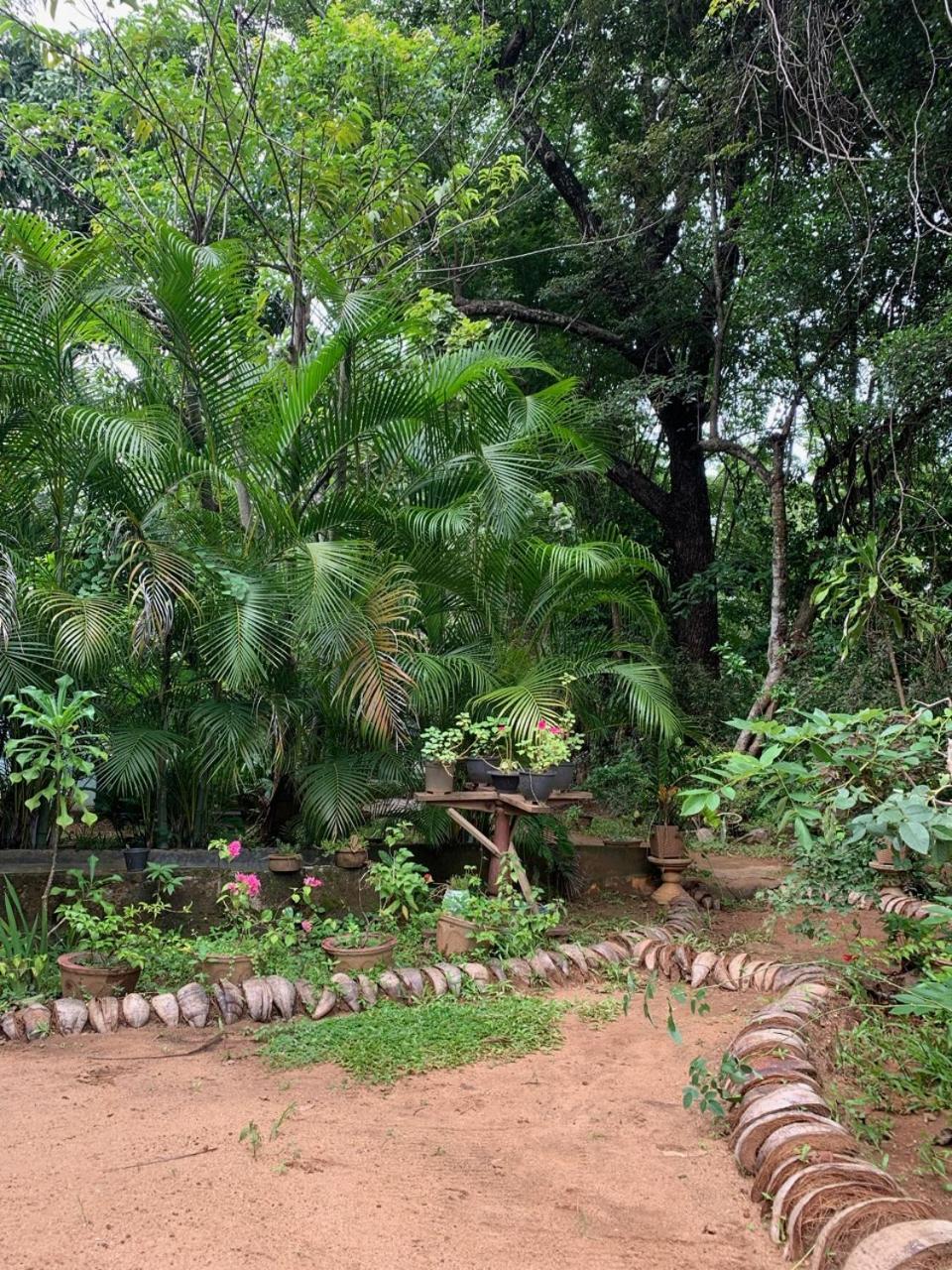 Manju Homestay Sigiriya Eksteriør billede