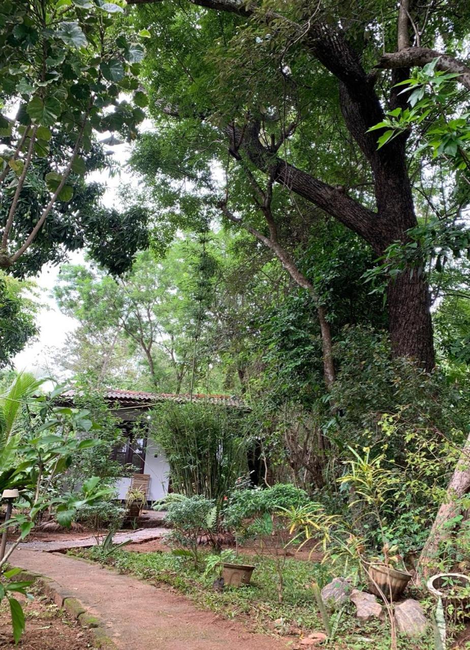 Manju Homestay Sigiriya Eksteriør billede