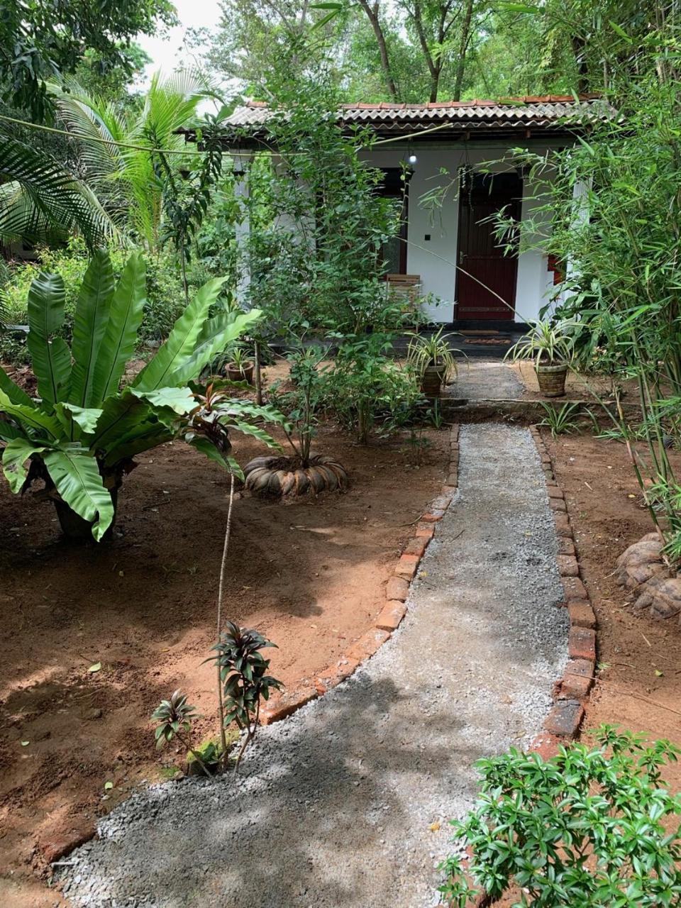 Manju Homestay Sigiriya Eksteriør billede
