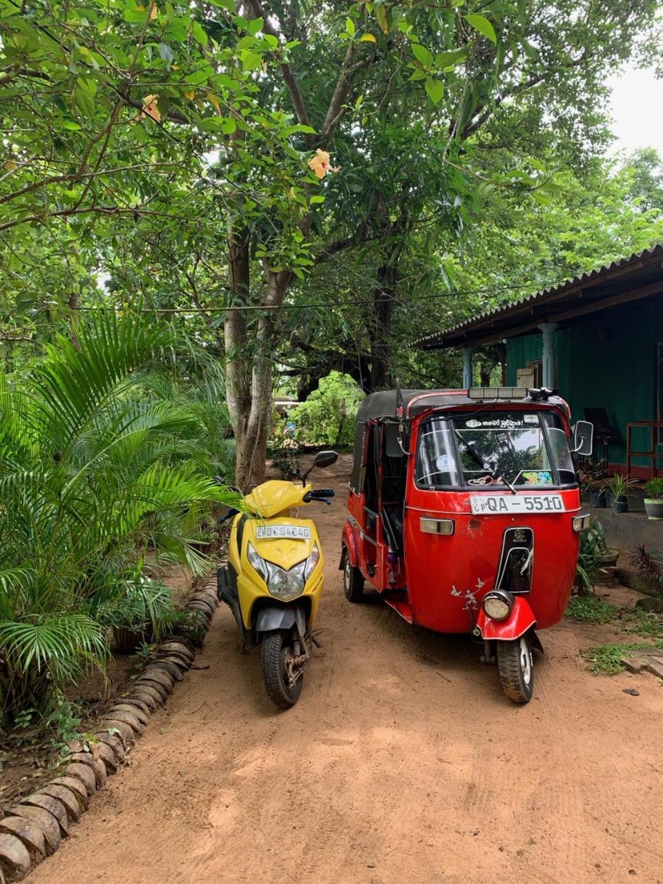 Manju Homestay Sigiriya Eksteriør billede
