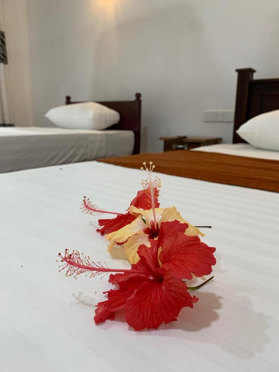 Manju Homestay Sigiriya Eksteriør billede