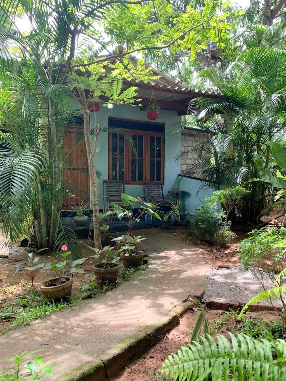 Manju Homestay Sigiriya Eksteriør billede