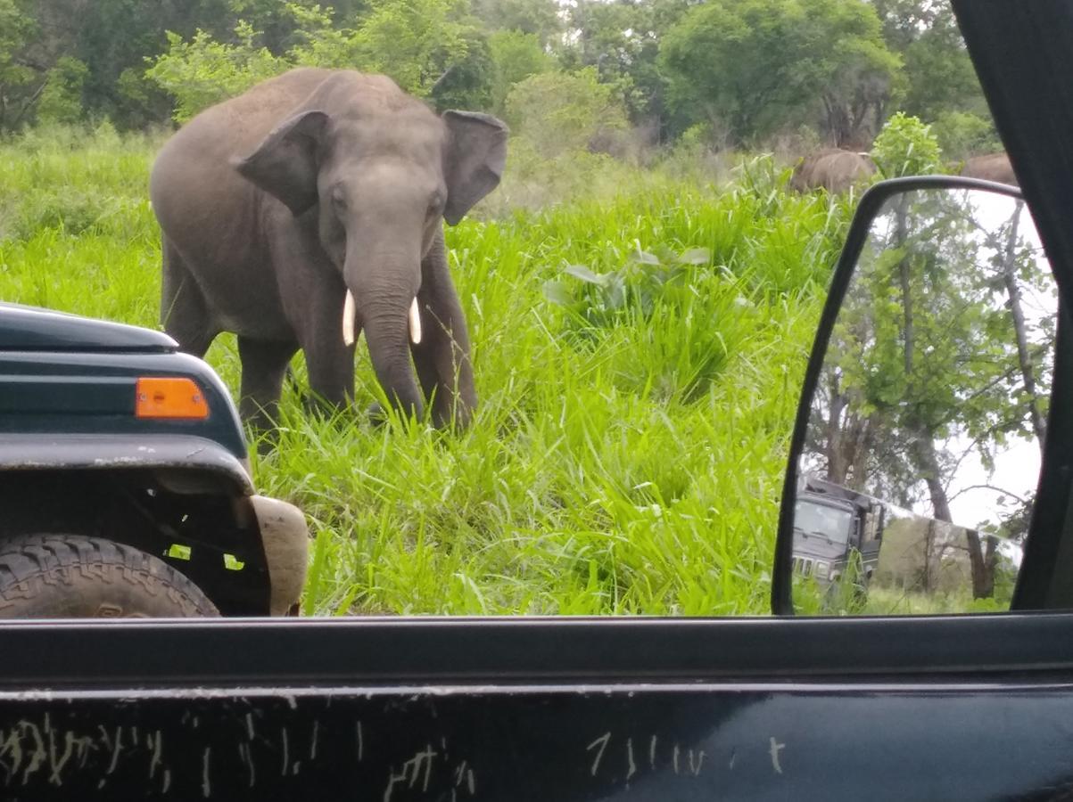 Manju Homestay Sigiriya Eksteriør billede