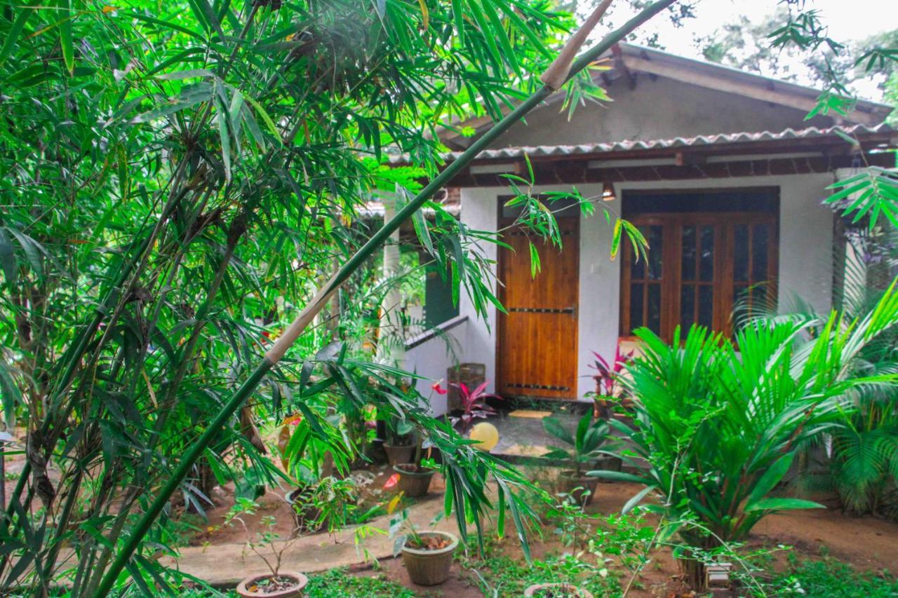 Manju Homestay Sigiriya Eksteriør billede
